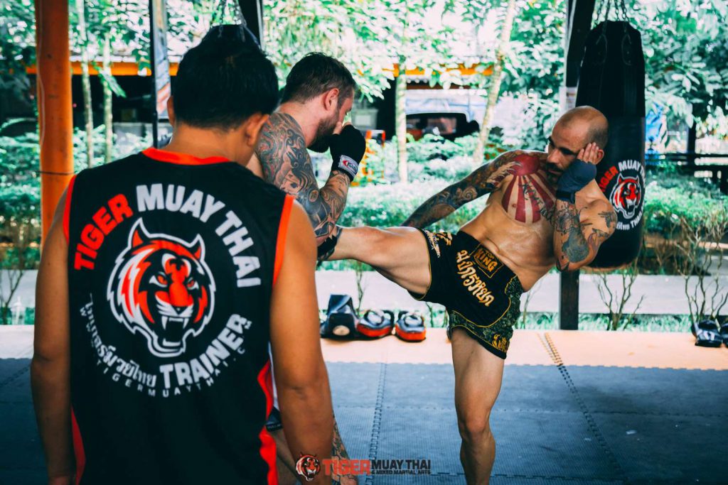 Tmt Class Muay Thai Beginner Tiger Muay Thai Mma Training Camp Phuket Thailand