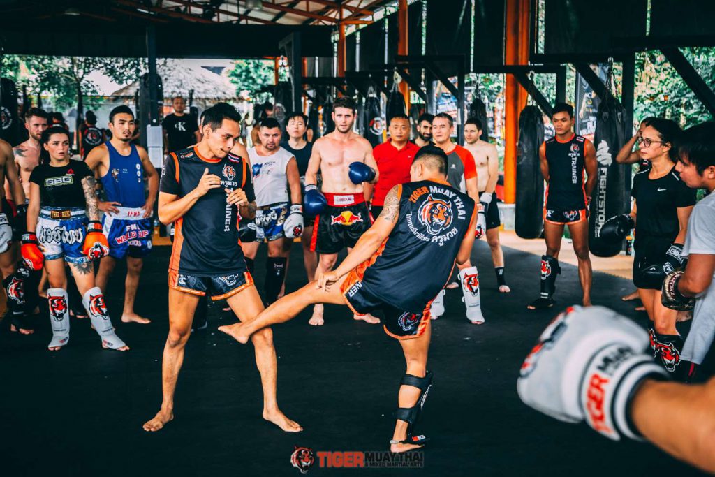 Tmt Class Muay Thai Beginner 09 Tiger Muay Thai And Mma Training Camp