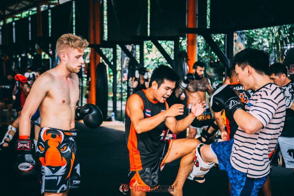 Tmt Class Muay Thai Beginner 11 Tiger Muay Thai And Mma Training Camp Phuket Thailand