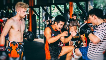 Paos and Bear Paws Boxing, Muay Thai, kickboxing – Tigre Thai