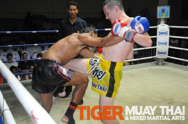 Tiger Muay Thai And Mma Fighters Go 6 0 Over Two Nights In Thailand And Singapore Tiger Muay